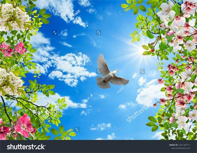 Dán trần hình hoa lá MDT-258