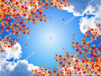 Dán trần hình hoa lá WSH-2020_34