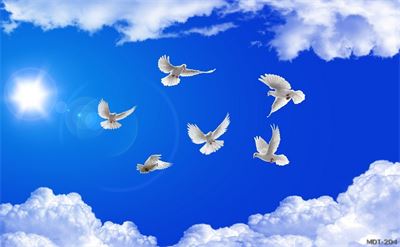 Mẫu dán trần mây trời MDT-204