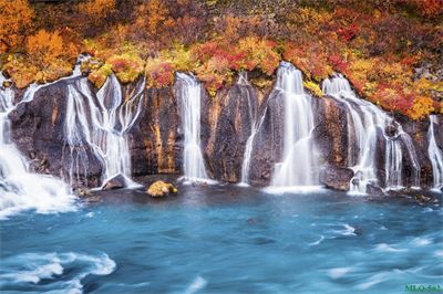 Tranh sơn dầu làng quê MLQ-562