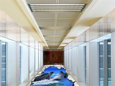 Tranh con vật đáng yêu cho bé MDVP-138KG