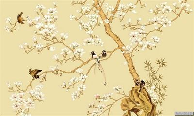 Cây hoa mộc lan và chim MAV-3685