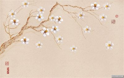 Cành hoa mai trắng phong cách nhật - tối giản MAV-4067