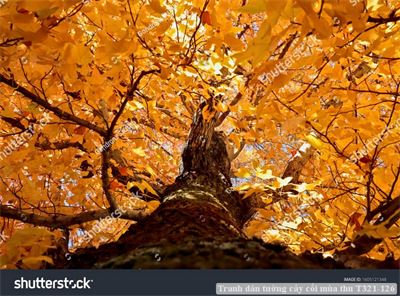 Tranh dán tường cây cối mùa thu T321-126