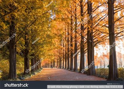 Tranh dán tường phong cảnh con đường mùa thu T321-316