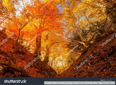 Tranh dán tường phong cảnh con đường mùa thu T321-312