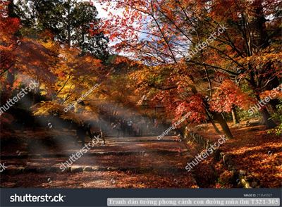 Tranh dán tường phong cảnh con đường mùa thu T321-305