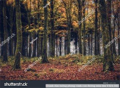 Tranh dán tường phong cảnh con đường mùa thu T321-301