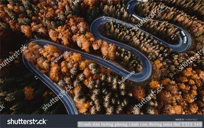 Tranh dán tường phong cảnh con đường mùa thu T321-168