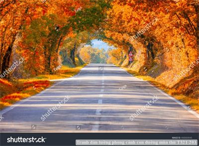 Tranh dán tường phong cảnh con đường mùa thu T321-203