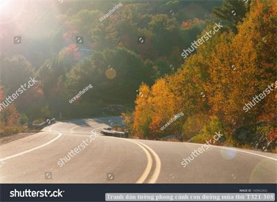 Tranh dán tường phong cảnh con đường mùa thu T321-308