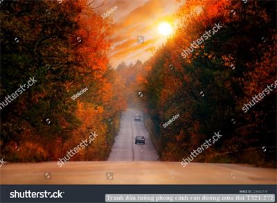 Tranh dán tường phong cảnh con đường mùa thu T321-272