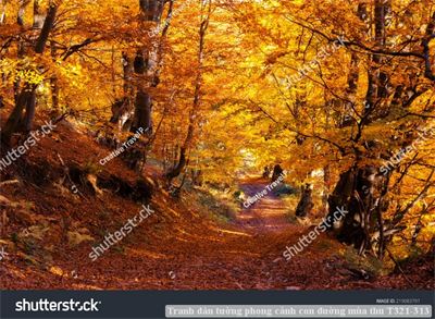 Tranh dán tường phong cảnh con đường mùa thu T321-313