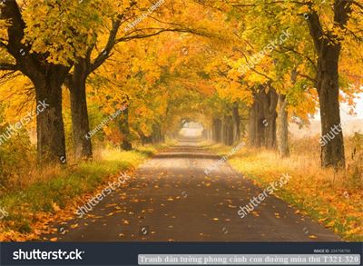 Tranh dán tường phong cảnh con đường mùa thu T321-320