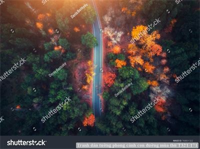 Tranh dán tường phong cảnh con đường mùa thu T321-171