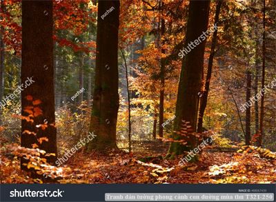 Tranh dán tường phong cảnh con đường mùa thu T321-250