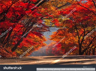 Tranh dán tường phong cảnh con đường mùa thu T321-225