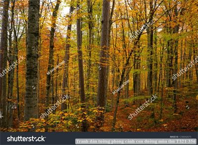 Tranh dán tường phong cảnh con đường mùa thu T321-356