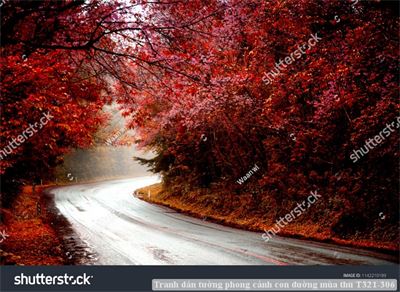 Tranh dán tường phong cảnh con đường mùa thu T321-306