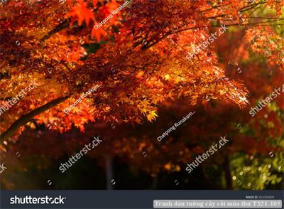 Tranh dán tường cây cối mùa thu T321-105