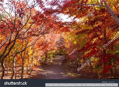 Tranh dán tường phong cảnh con đường mùa thu T321-296