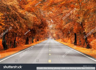 Tranh dán tường phong cảnh con đường mùa thu T321-343