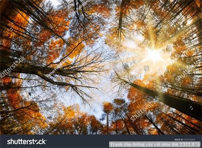 Tranh dán tường cây cối mùa thu T321-073