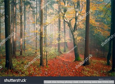 Tranh dán tường phong cảnh con đường mùa thu T321-353