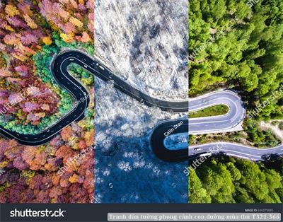 Tranh dán tường phong cảnh con đường mùa thu T321-366