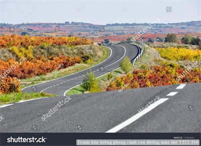 Tranh dán tường phong cảnh con đường mùa thu T321-330