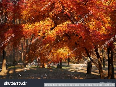 Tranh dán tường phong cảnh con đường mùa thu T321-283