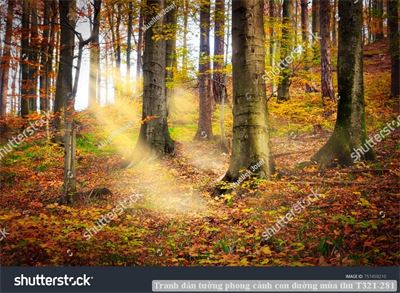 Tranh dán tường phong cảnh hồ thác, cây cối T321-553