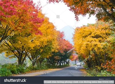 Tranh dán tường phong cảnh hồ thác, cây cối T321-560