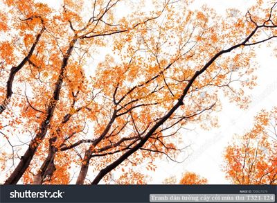 Tranh dán tường cây cối mùa thu T321-124