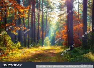 Tranh dán tường phong cảnh con đường mùa thu T321-227