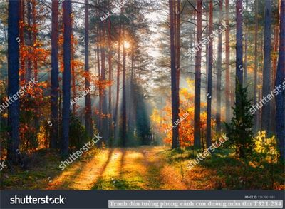 Tranh dán tường phong cảnh con đường mùa thu T321-284