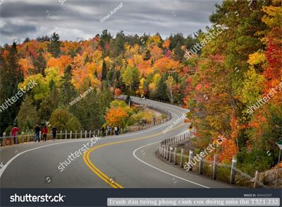 Tranh dán tường phong cảnh hồ thác, cây cối T321-541