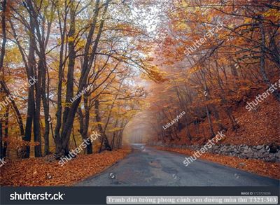 Tranh dán tường phong cảnh con đường mùa thu T321-303