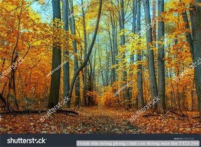 Tranh dán tường phong cảnh hồ thác, cây cối T321-539