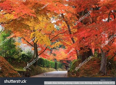 Tranh dán tường phong cảnh con đường mùa thu T321-371