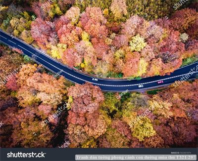 Tranh dán tường phong cảnh con đường mùa thu T321-297