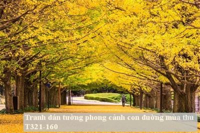 Tranh dán tường phong cảnh con đường mùa thu T321-160
