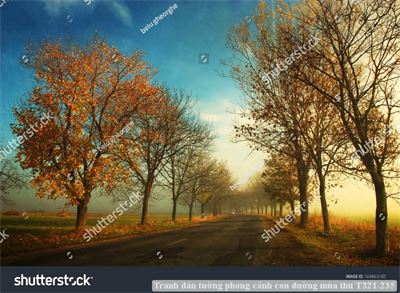 Tranh dán tường phong cảnh con đường mùa thu T321-235