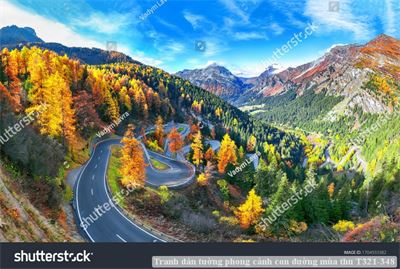 Tranh dán tường phong cảnh con đường mùa thu T321-348
