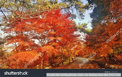 Tranh dán tường phong cảnh con đường mùa thu T321-286