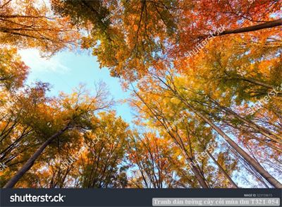 Tranh dán tường cây cối mùa thu T321-054