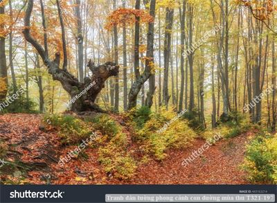 Tranh dán tường phong cảnh con đường mùa thu T321-197