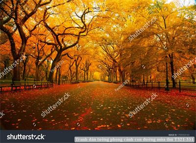 Tranh dán tường phong cảnh con đường mùa thu T321-331