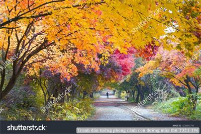 Tranh dán tường phong cảnh con đường mùa thu T321-196