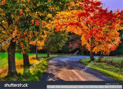 Tranh dán tường phong cảnh con đường mùa thu T321-315